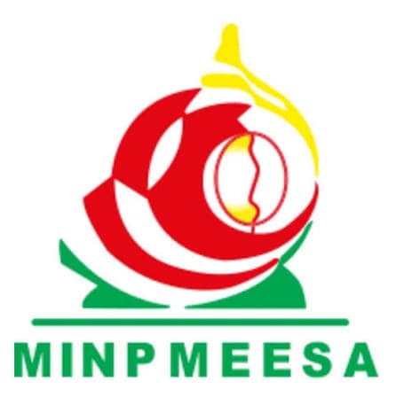 Logo MINPMEESA